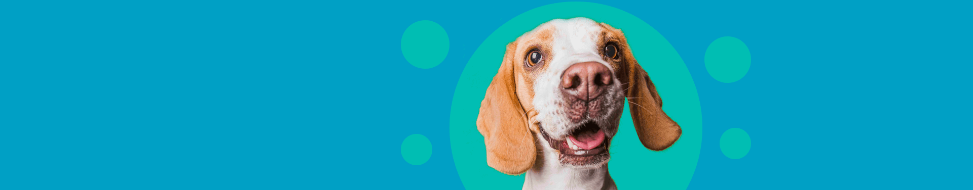 allegra es bueno para las alergias de los perros..html.html.html.html.html.html.html.html